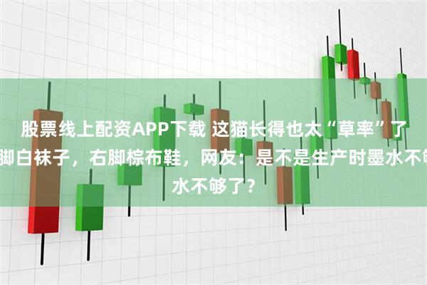股票线上配资APP下载 这猫长得也太“草率”了？左脚白袜子，右脚棕布鞋，网友：是不是生产时墨水不够了？
