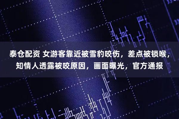 泰仓配资 女游客靠近被雪豹咬伤，差点被锁喉，知情人透露被咬原因，画面曝光，官方通报